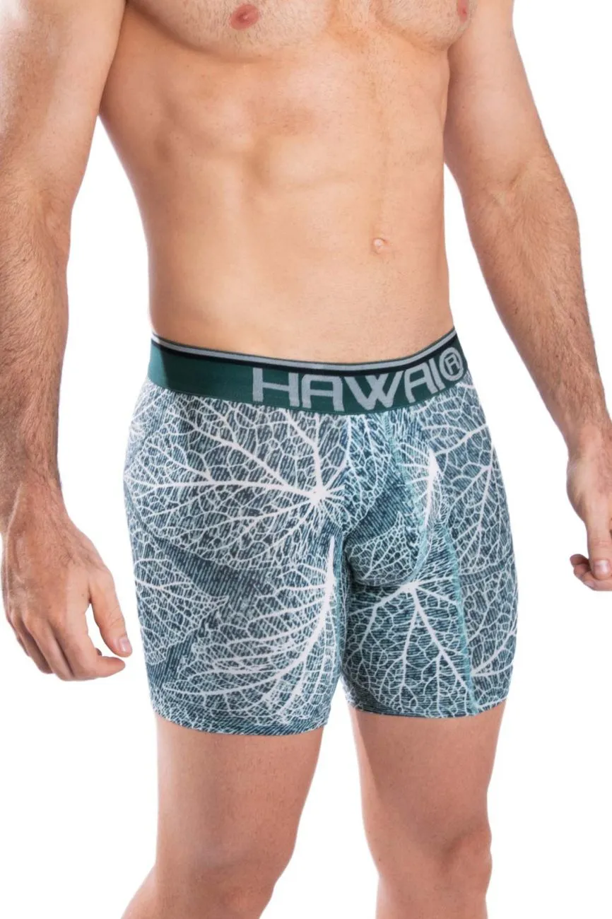 Bekleidung_Hawair_Herrenunterwäsche HAWAI 42104 Bedruckte Boxershorts Farbe Grün