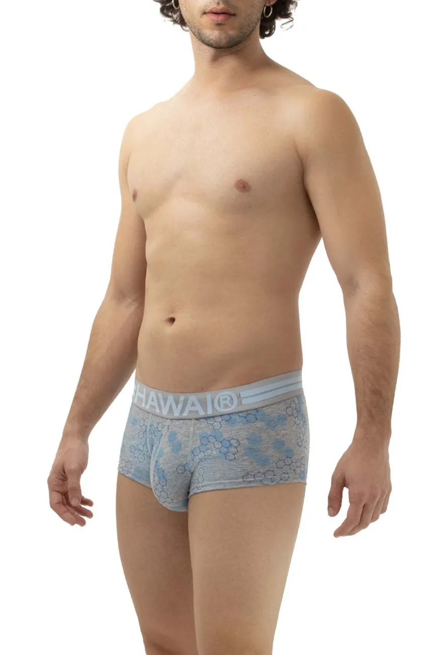 Bekleidung_Hawair_Herrenunterwäsche HAWAI 42231 Baumwoll-Boxershorts Farbe Grau