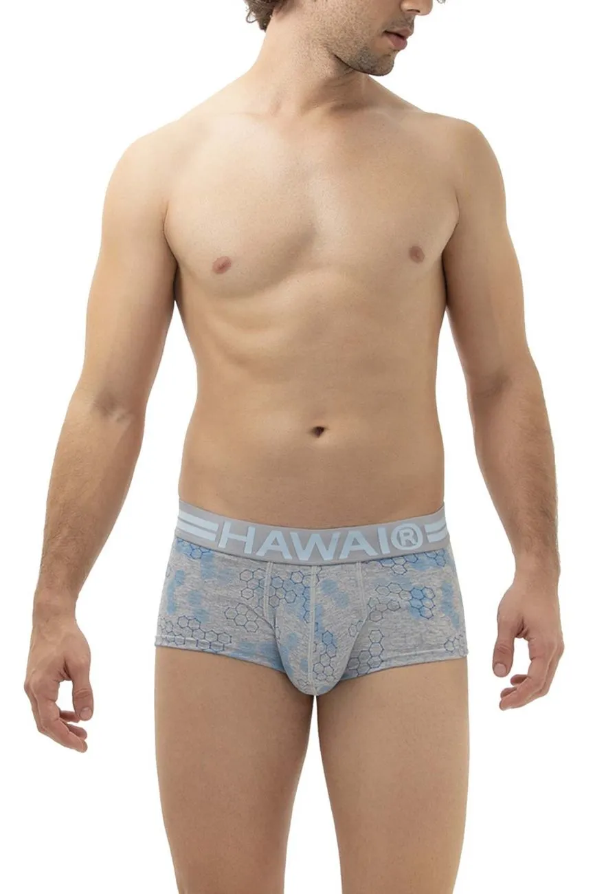 Bekleidung_Hawair_Herrenunterwäsche HAWAI 42231 Baumwoll-Boxershorts Farbe Grau
