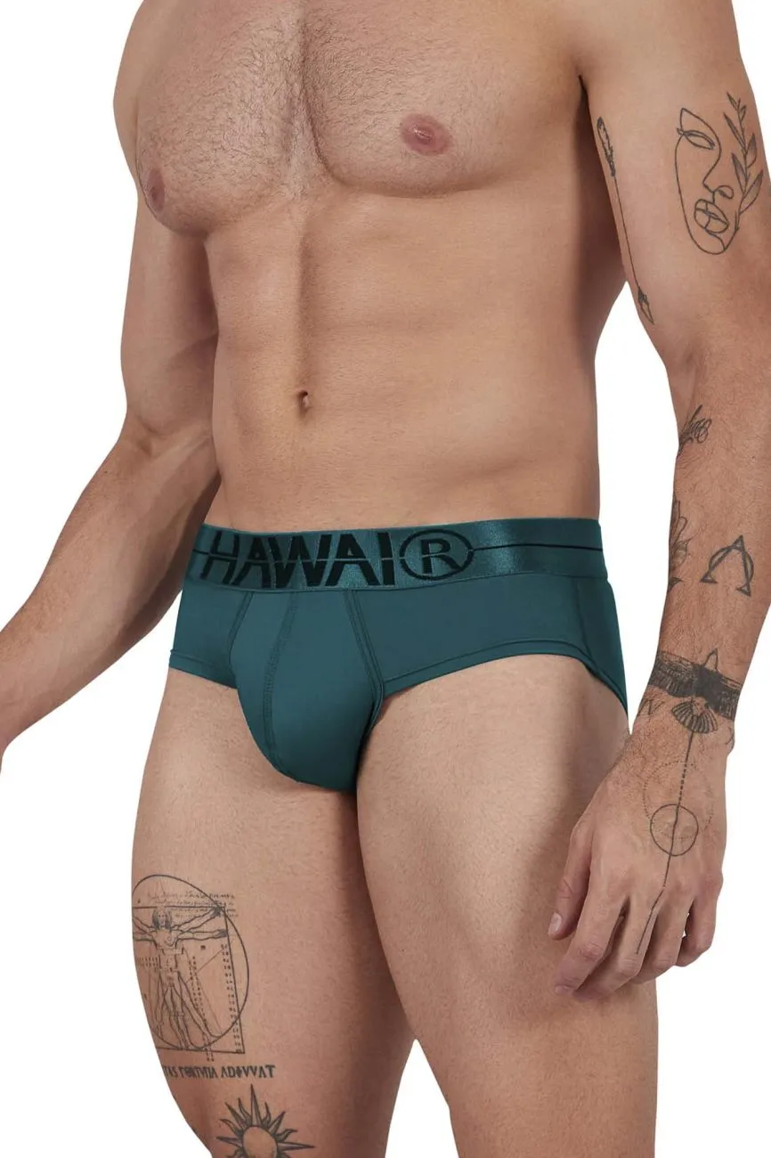 Bekleidung_Hawair_Herrenunterwäsche HAWAIR 41963 Mikrofaser-Slip Farbe Grün