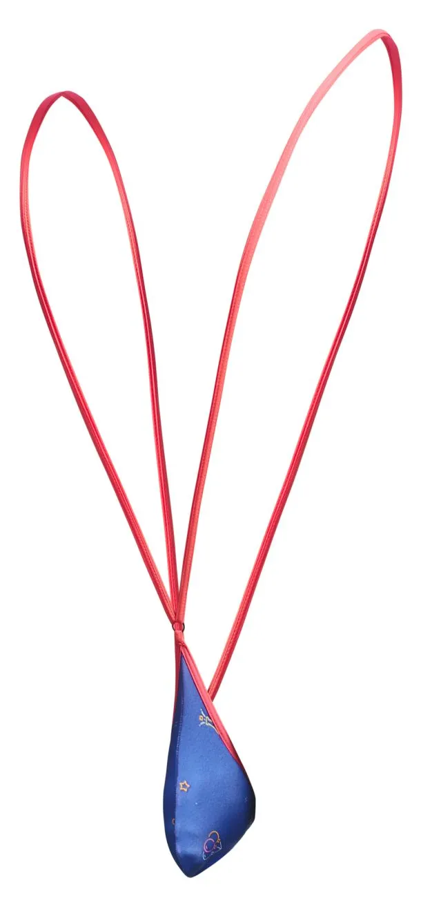 Kleidung_Justin   Simon_Herrenunterwäsche JUSTIN SIMON XSJ04 Sling Farbenparty