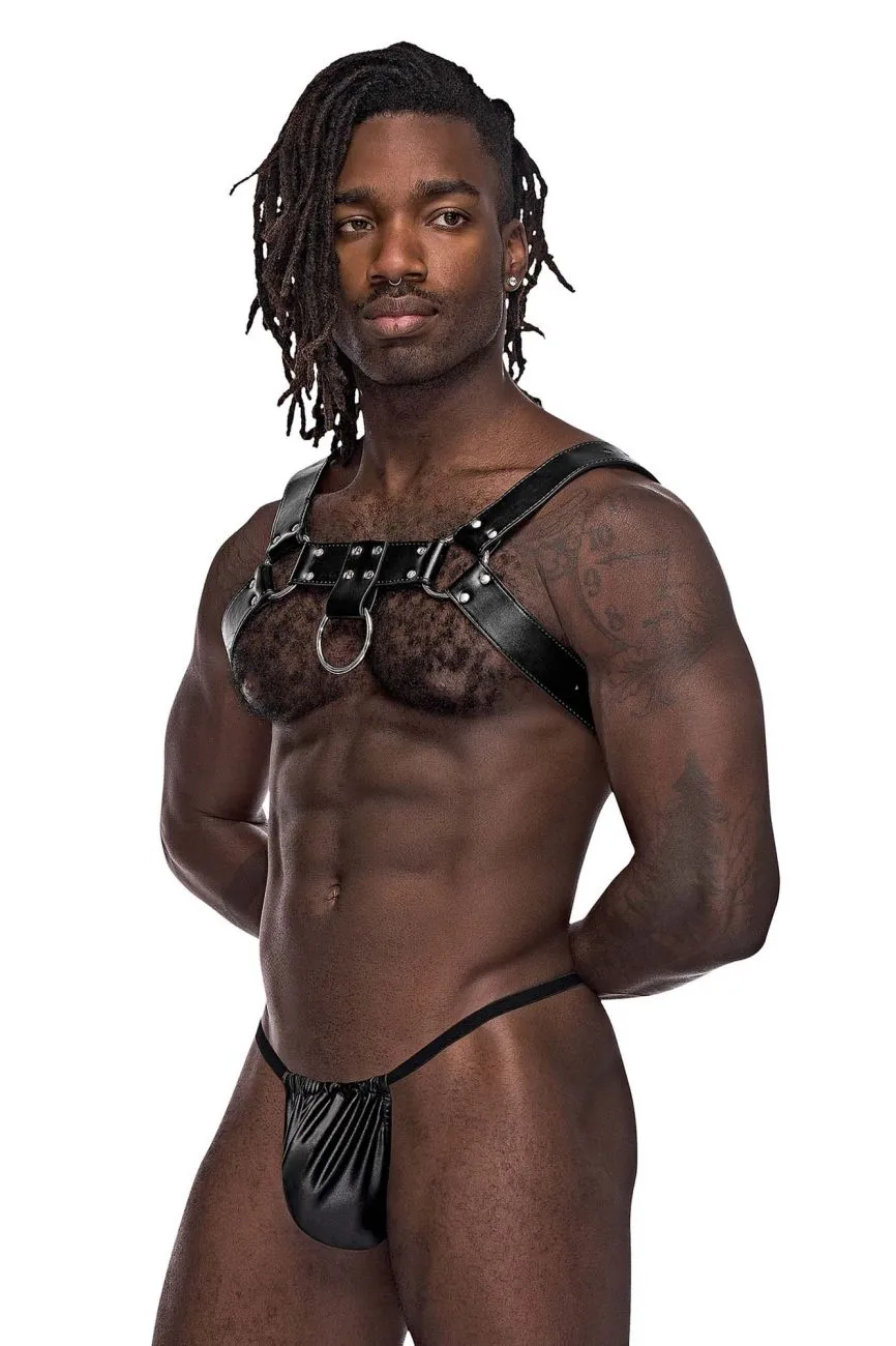 Bekleidung_Herren Power_Herrenunterwäsche Male Power 590-266 Leder Widder Geschirr Farbe Schwarz