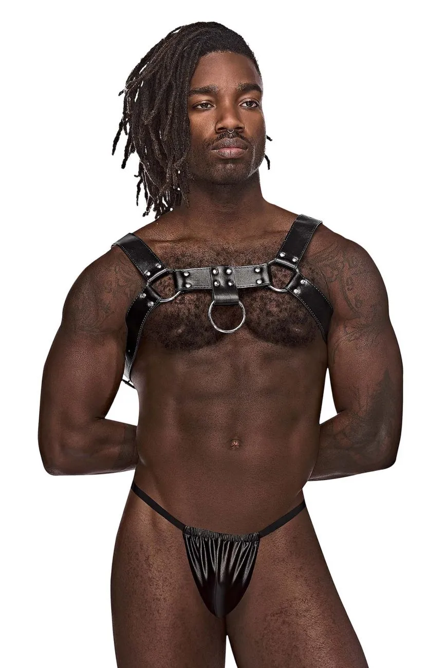 Bekleidung_Herren Power_Herrenunterwäsche Male Power 590-266 Leder Widder Geschirr Farbe Schwarz