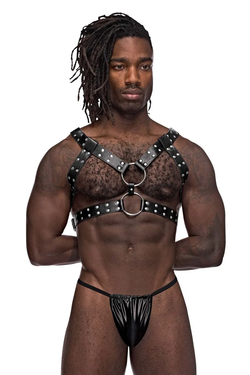 Bekleidung_Herren Power_Herrenunterwäsche Male Power 591-266 Leder-Zwillinge Geschirr Farbe Schwarz