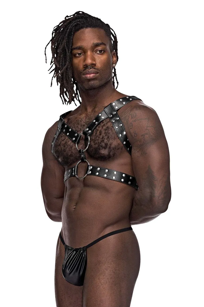 Bekleidung_Herren Power_Herrenunterwäsche Male Power 591-266 Leder-Zwillinge Geschirr Farbe Schwarz