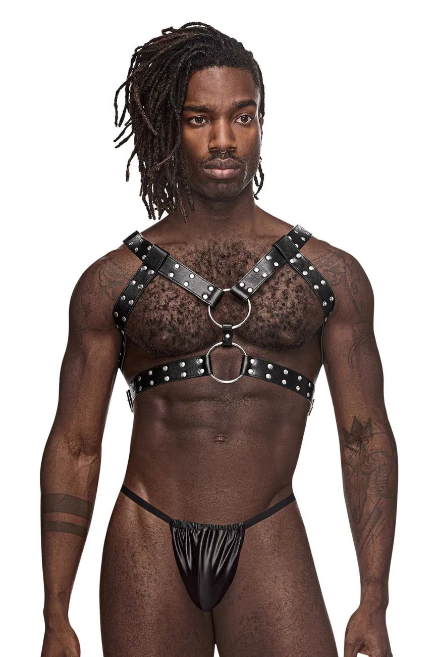 Bekleidung_Herren Power_Herrenunterwäsche Male Power 591-266 Leder-Zwillinge Geschirr Farbe Schwarz