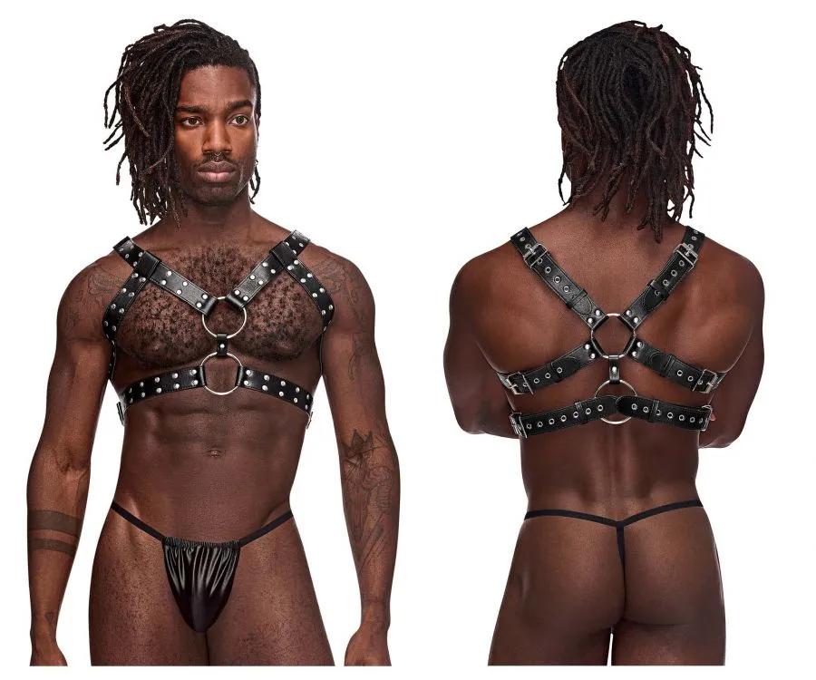Bekleidung_Herren Power_Herrenunterwäsche Male Power 591-266 Leder-Zwillinge Geschirr Farbe Schwarz