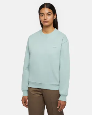 Dickies Clancy Sweatshirt in Blauem Surf
