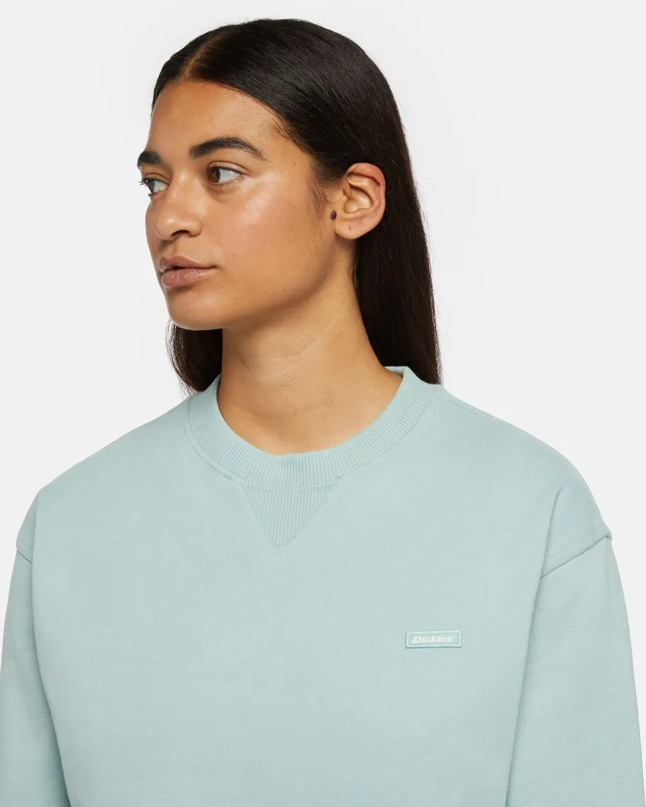 Dickies Clancy Sweatshirt in Blauem Surf