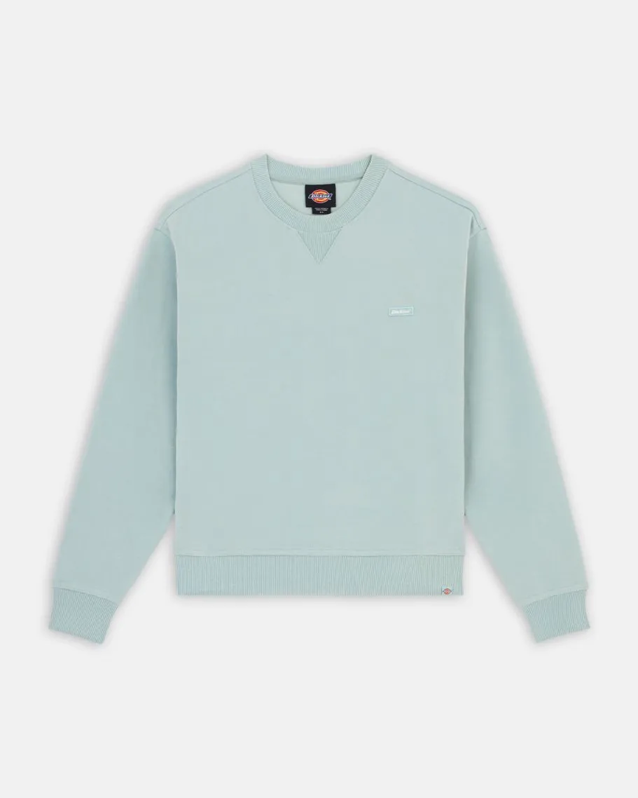 Dickies Clancy Sweatshirt in Blauem Surf