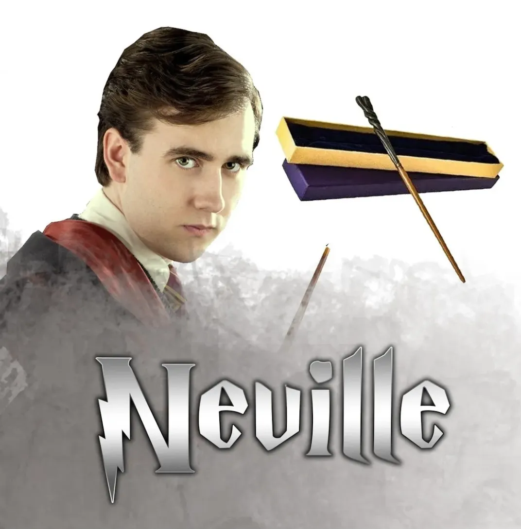 HARRY POTTER ZAUBERSTÄBE