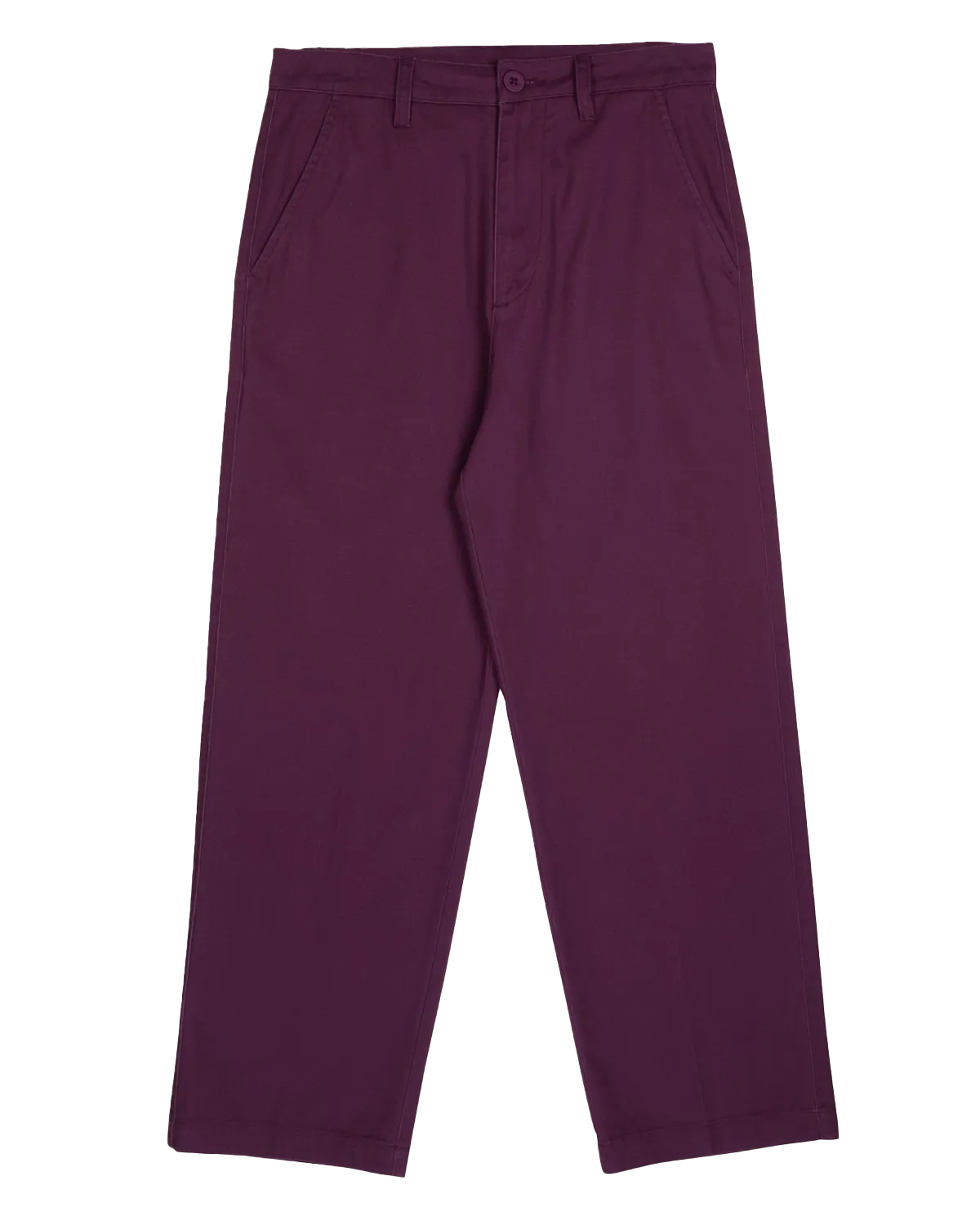 Santa Cruz Nolan Chino Hose in Traube