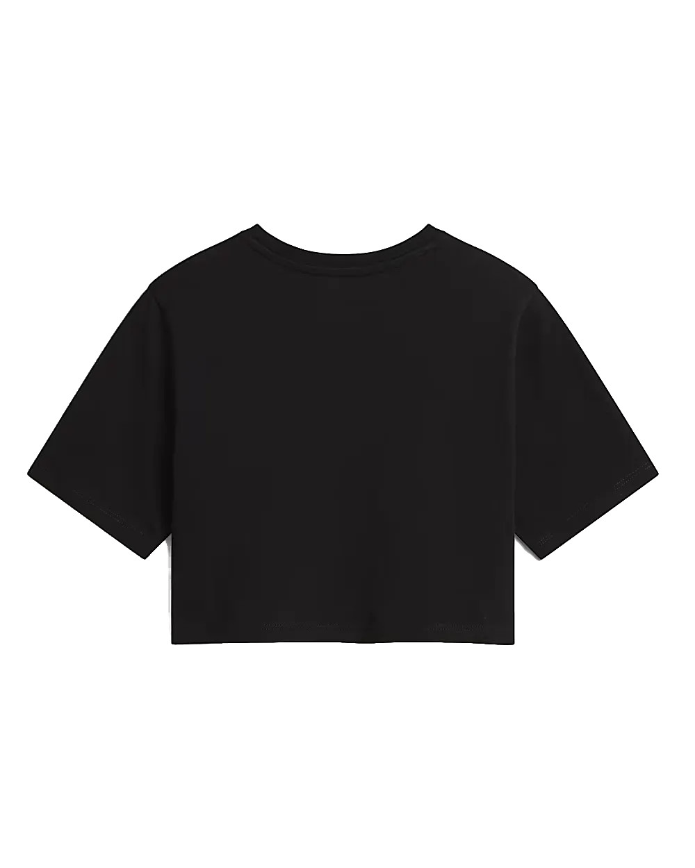 Vans Clothing Flying V Cropped T-Shirt in Schwarz