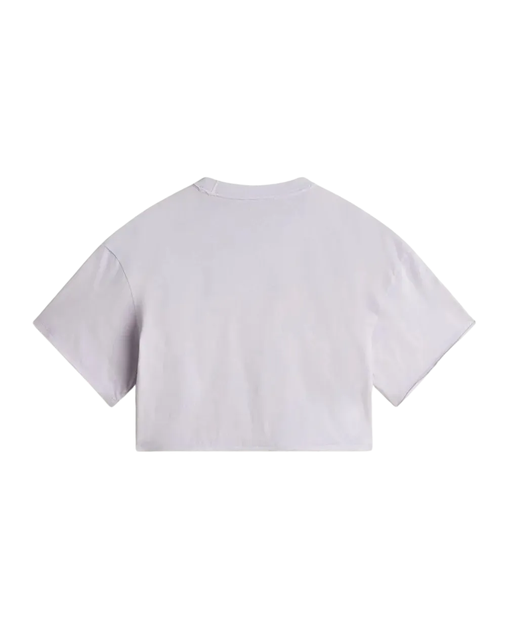 Vans Kleidung Relaxed Crop Wash T-Shirt in Abenddämmerung